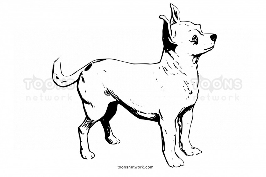 Line Drawing of a Chihuahua Dog, Dog Drawing Ideas #36