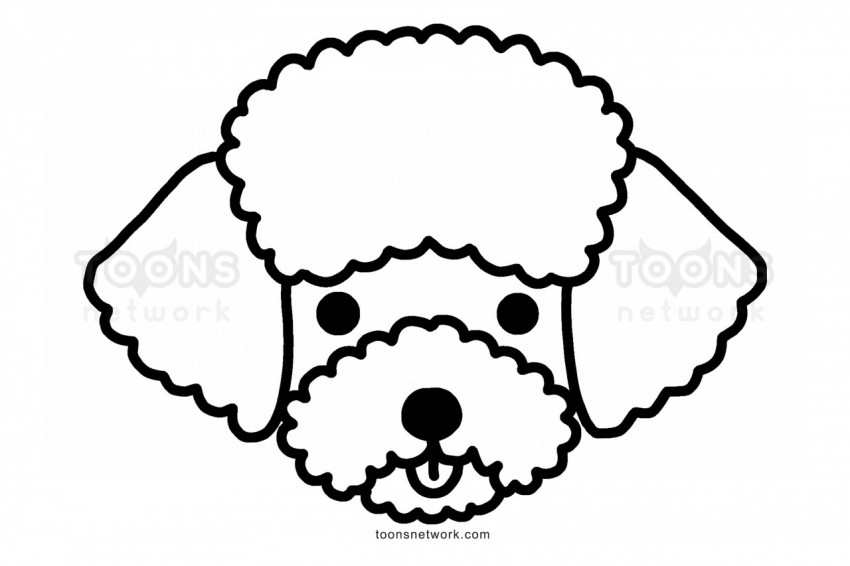 Easy Line Drawing of a Bichon Frise Dog Face for Kids, Dog Drawing Ideas #47