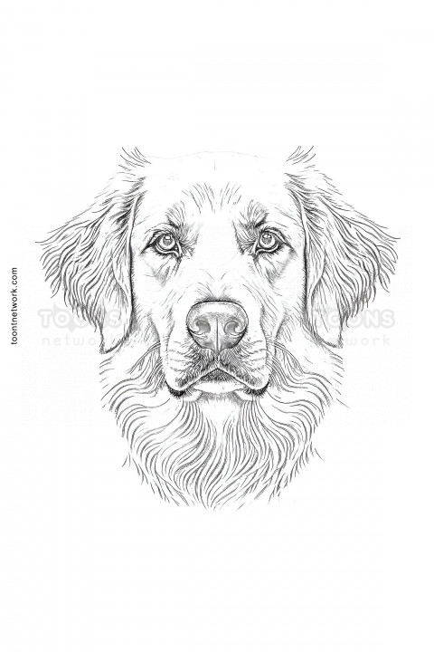 Realistic Pencil Drawing of a Dog Face, Dog Drawing Ideas #1