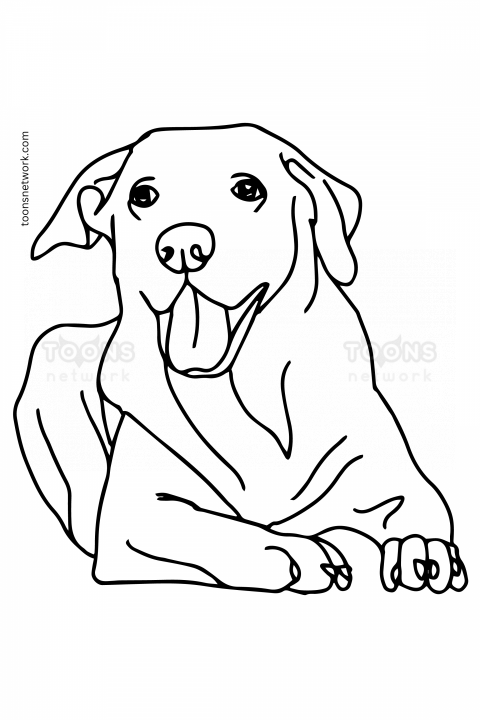 Pencil line Drawing of a sitting Dog, Dog Drawing Ideas #3