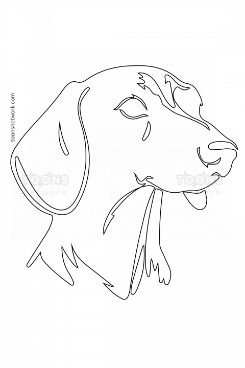 Pencil Line Drawing of a Dog Face, Dog Drawing Ideas #11