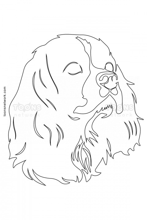 HB Pencil Line Drawing of a Dog Face, Dog Drawing Ideas #21