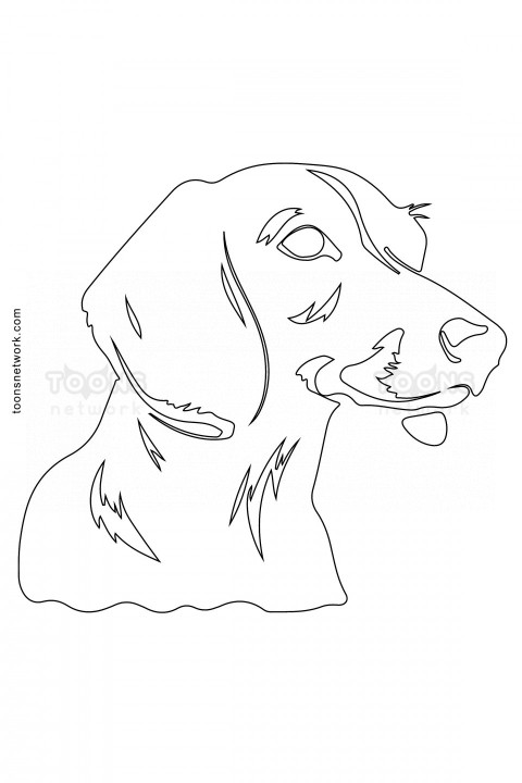 Easy HB Pencil Line Drawing of a Dog Face, Dog Drawing Ideas #25