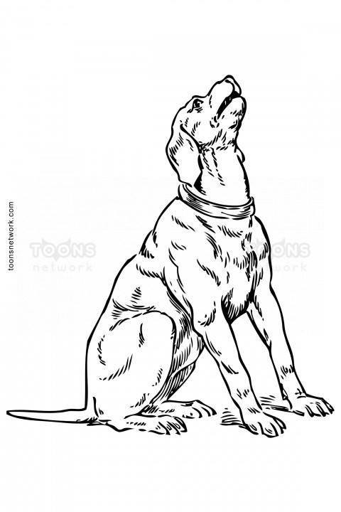 Line Drawing of a Sitting Dog, Dog Drawing Ideas #39