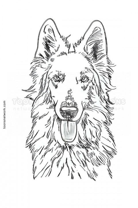 Sketch of a Shepherd Dog, Dog Drawing Ideas #40