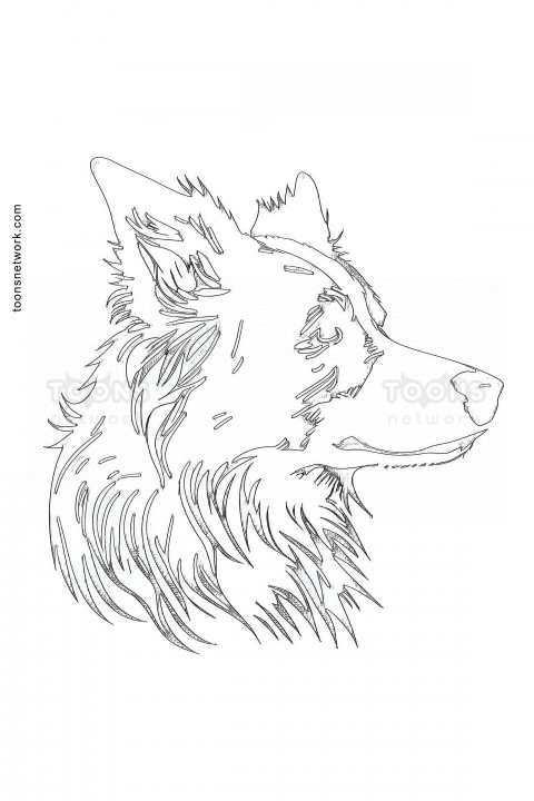 Outline Drawing of a Border Collie Dog Side Face, Dog Drawing Ideas #42