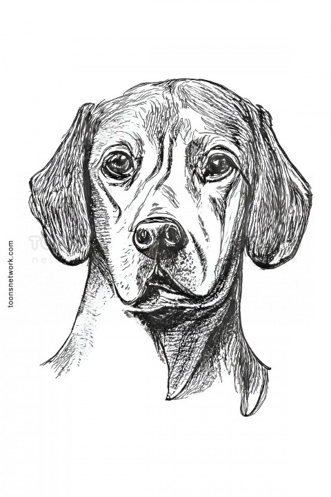 Outline Drawing of a Dog Face, Dog Drawing Ideas #45